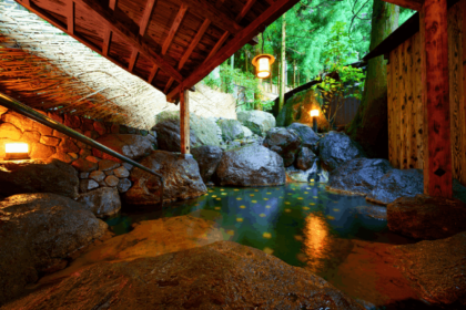 Beppu Showaen Outdoor Onsen